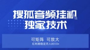 【搜狐音频挂G】独家技术，可矩阵可放大，红利期稳定月入8k【揭秘】-梦想波浪