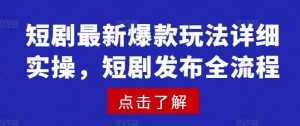 短剧最新爆款玩法详细实操,短剧发布全流程-梦想波浪