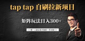 taptap拉新自刷项目,一个新用户14元,矩阵玩法日入300+-梦想波浪