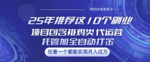 25年推荐这10个副业项目包含褂鸡类、代运营托管类、全自动打金类【揭秘】-梦想波浪