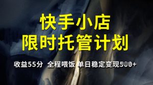 快手小店限时托管计划，收益55分，全程喂饭，单日稳定变现5张【揭秘】-梦想波浪