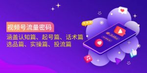 视频号流量密码:涵盖认知篇、起号篇、话术篇、选品篇、实操篇、投流篇-梦想波浪