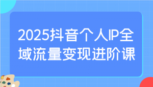 2025抖音个人IP全域流量变现进阶课:选爆品、抖音付费投流、千川投流实操及优化等-梦想波浪
