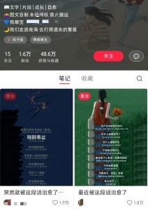 小红书治愈文案图文笔记,零门槛,一分钟制作轻松制作爆款作品月入万元-梦想波浪