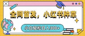 小红书种草，手机项目，日入3张，复制黏贴即可，可矩阵操作，动手不动脑【揭秘】-梦想波浪