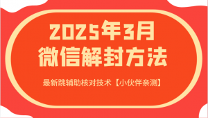 2025年3月微信解封方法 最新跳辅助核对技术【小伙伴亲测】-梦想波浪