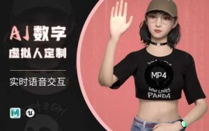 Ai数字人虚拟(智能体)实时语音交互特训营，​自行定制超写实角色AI数字人交互技术-梦想波浪