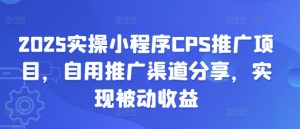 2025实操小程序CPS推广项目,自用推广渠道分享,实现被动收益-梦想波浪