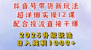2025全新升级抖音带货玩法,一天纯利四位数,从剪辑到选品再到发布投流,超详细玩法揭秘-梦想波浪