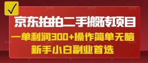 京东拍拍二手搬砖项目,一单纯利润3张,操作简单,小白兼职副业首选-梦想波浪