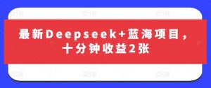 最新Deepseek+蓝海项目,十分钟收益2张-梦想波浪