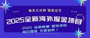 2025最新海外掘金项目 一台电脑轻松日入500+-梦想波浪