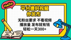 平台提供视频 你发布 无粉丝要求 不看视频播放量 发布就有钱 轻松一天300+-梦想波浪