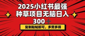2025小红书最强种草项目，无脑日入300+，复制粘帖即可，多劳多得-梦想波浪