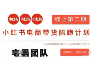 小红书电商带货课2期，月利润20个的小红书电商的有货源，无货源，虚拟产品，付费投流等整套玩法-梦想波浪