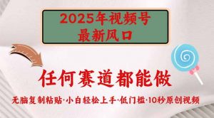 2025年视频号新风口，低门槛只需要无脑执行-梦想波浪