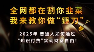 全网都在割你韭菜,我来教你做镰刀,2025普通人如何通过知识付费,实现财F自由【揭秘】-梦想波浪