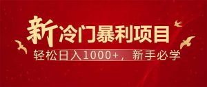 项目名称:每天一小时,轻松到手1000,冷门赚钱项目!-梦想波浪