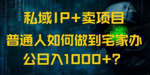 私域IP+卖项目,普通人如何做到宅家办公实现日入1000+-梦想波浪