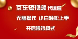 京东短视频代运营,全程喂饭,小白轻松上手【揭秘】-梦想波浪