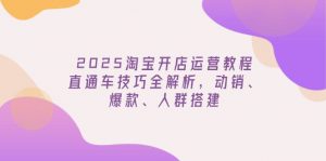 2025淘宝开店运营教程更新,直通车技巧全解析,动销、爆款、人群搭建-梦想波浪