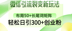 微信引流裂变新玩法:布局50+长尾词矩阵,轻松日引300+创业粉-梦想波浪