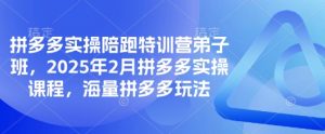 拼多多实操陪跑特训营弟子班,2025年2月拼多多实操课程,海量拼多多玩法-梦想波浪