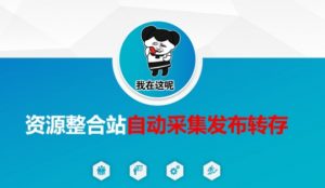 资源整合站自动采集发布转存,解放双手-梦想波浪