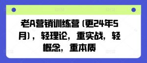 老A营销训练营(更25年3月),轻理论,重实战,轻概念,重本质-梦想波浪