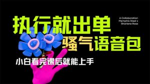 爆火全网的开车导航骚气语音包,只要执行就出单，小白看完课程就能实操...-梦想波浪