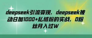 deepseek引流变现,deepseek被动日加1000+私域粉的实战,0粉丝月入过W-梦想波浪