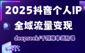 2025抖音个人IP全域流量变现进阶课,deepseek千川爆单进阶课-梦想波浪