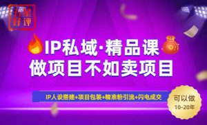 2025年“IP私域·密训精品课”,日赚3000+小白避坑年赚百万,暴力引流...-梦想波浪