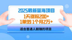 2025蓝海项目 1天涨粉200+ 1单99 1个月2万+-梦想波浪