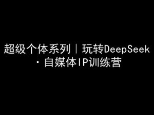 超级个体系列，玩转DeepSeek·自媒体IP训练营，deepseek教程-梦想波浪