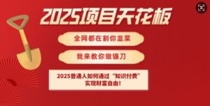 2025项目天花板普通人如何通过知识付费,实现财F自由【揭秘】-梦想波浪