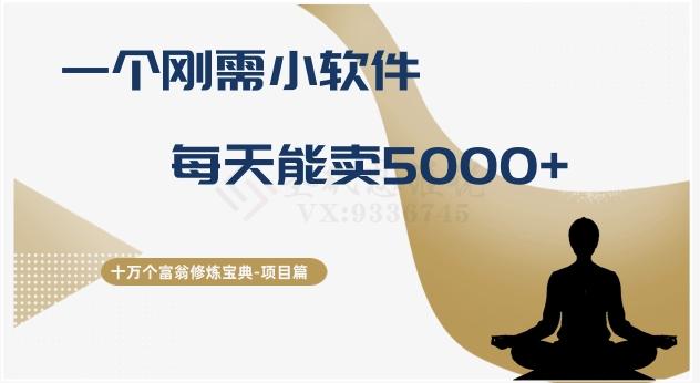 十万个富翁修炼宝典之17.一个刚需小软件，每天能卖5000+-梦想波浪