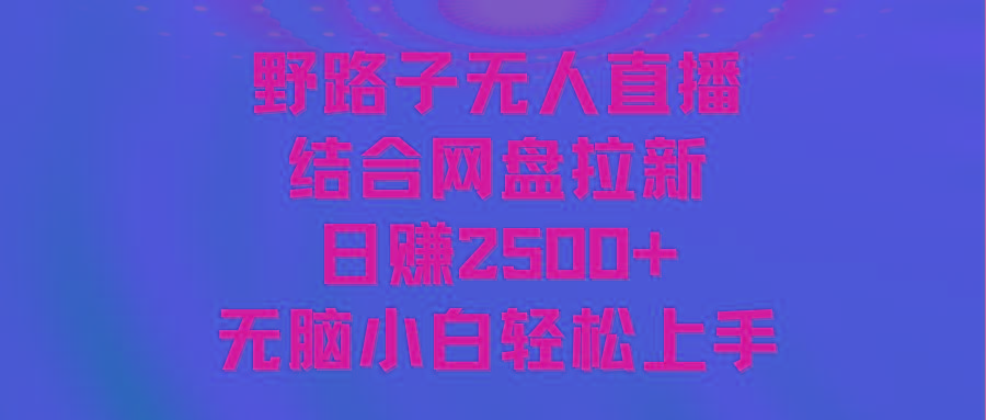无人直播野路子结合网盘拉新，日赚2500+多平台变现，小白无脑轻松上手操作-梦想波浪