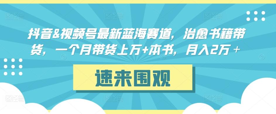抖音&视频号最新蓝海赛道，治愈书籍带货，一个月带货上万+本书，月入2万＋【揭秘】-梦想波浪