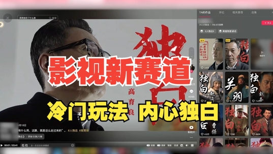 最新影视解说玩法，人物独白，30天涨粉24万+，全流程拆解【揭秘】-梦想波浪