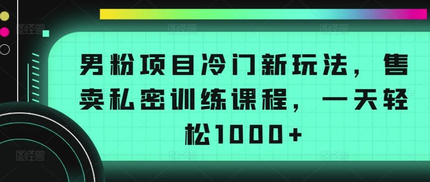 男粉项目冷门新玩法，售卖私密训练课程，一天轻松1000+【揭秘】-梦想波浪