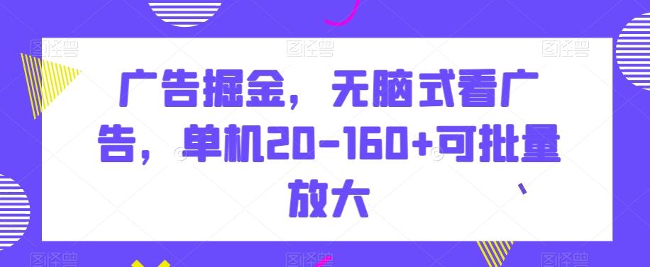 广告掘金，无脑式看广告，单机20-160+可批量放大【揭秘】-梦想波浪