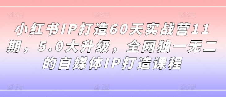 小红书IP打造60天实战营11期，5.0大升级，全网独一无二的自媒体IP打造课程-梦想波浪