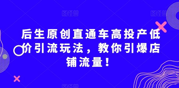 后生原创直通车高投产低价引流玩法，教你引爆店铺流量！-梦想波浪