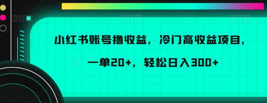 小红书账号撸收益，冷门高收益项目，一单20+，轻松日入300+【揭秘】-梦想波浪