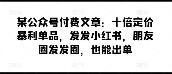 某公众号付费文章：十倍定价暴利单品，发发小红书，朋友圈发发圈，也能出单-梦想波浪