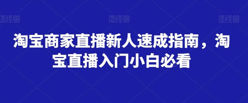 淘宝商家直播新人速成指南,淘宝直播入门小白必看-梦想波浪