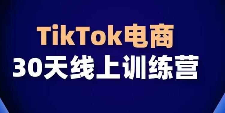 TikTok电商带货30天线上课,不可错过的全球流量洼地!-梦想波浪