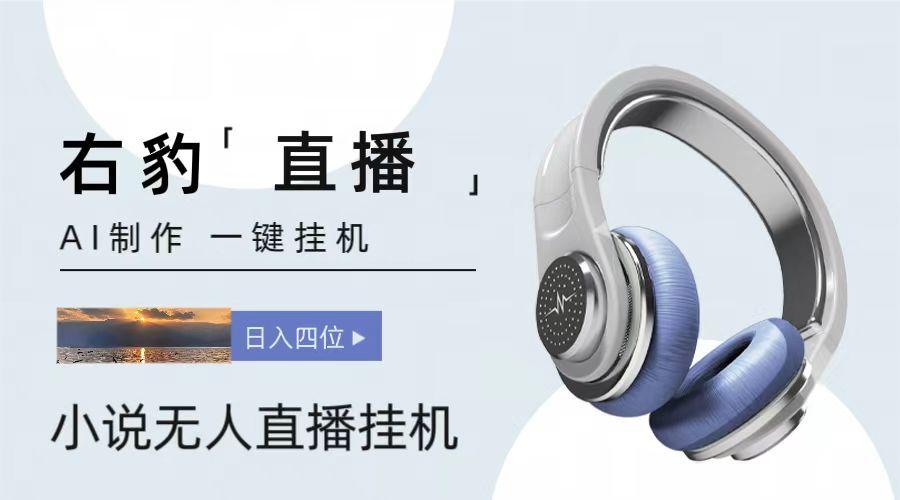 右豹小说无人直播挂机吸金项目，简单易行收益稳定， 月入1000+-梦想波浪