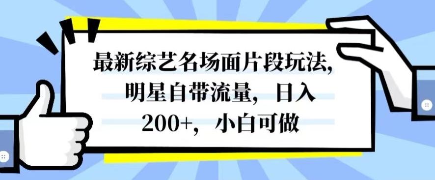最新综艺名场面片段玩法，明星自带流量，日入200+，小白可做【揭秘】-梦想波浪